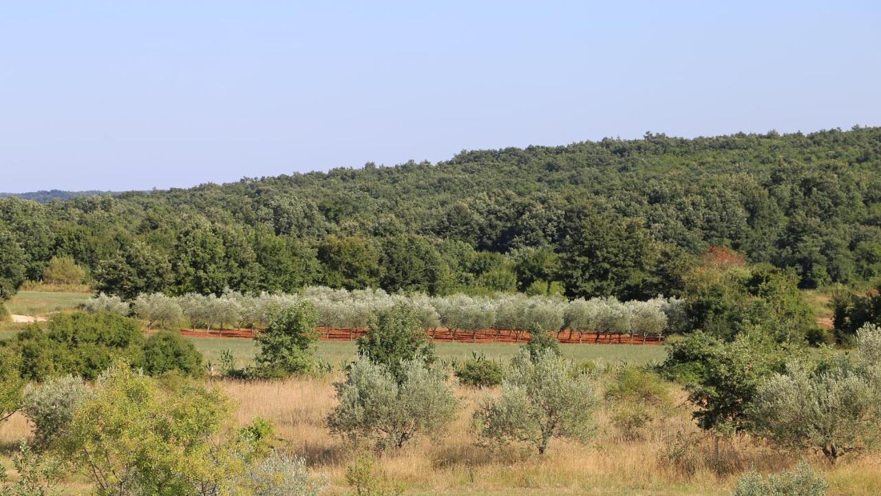 Villa Casa Conte Istria Kanfanar Exterior foto