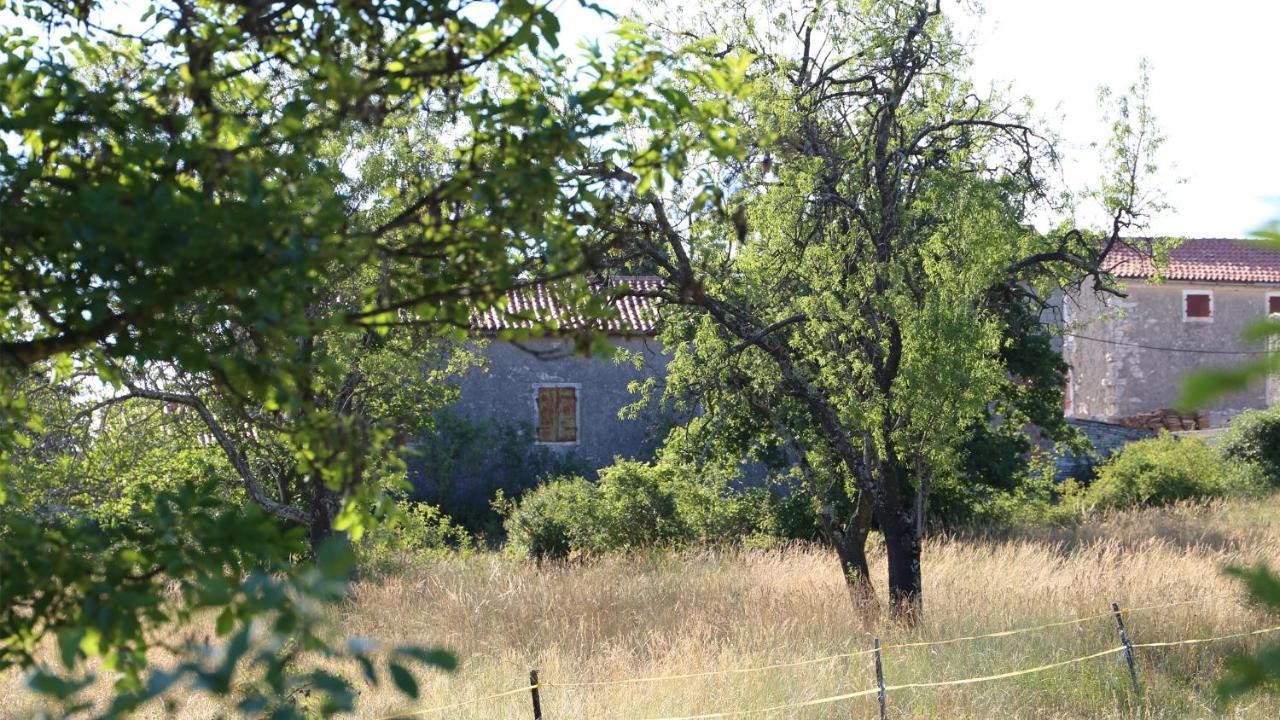 Villa Casa Conte Istria Kanfanar Exterior foto