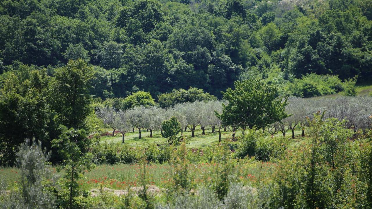 Villa Casa Conte Istria Kanfanar Exterior foto