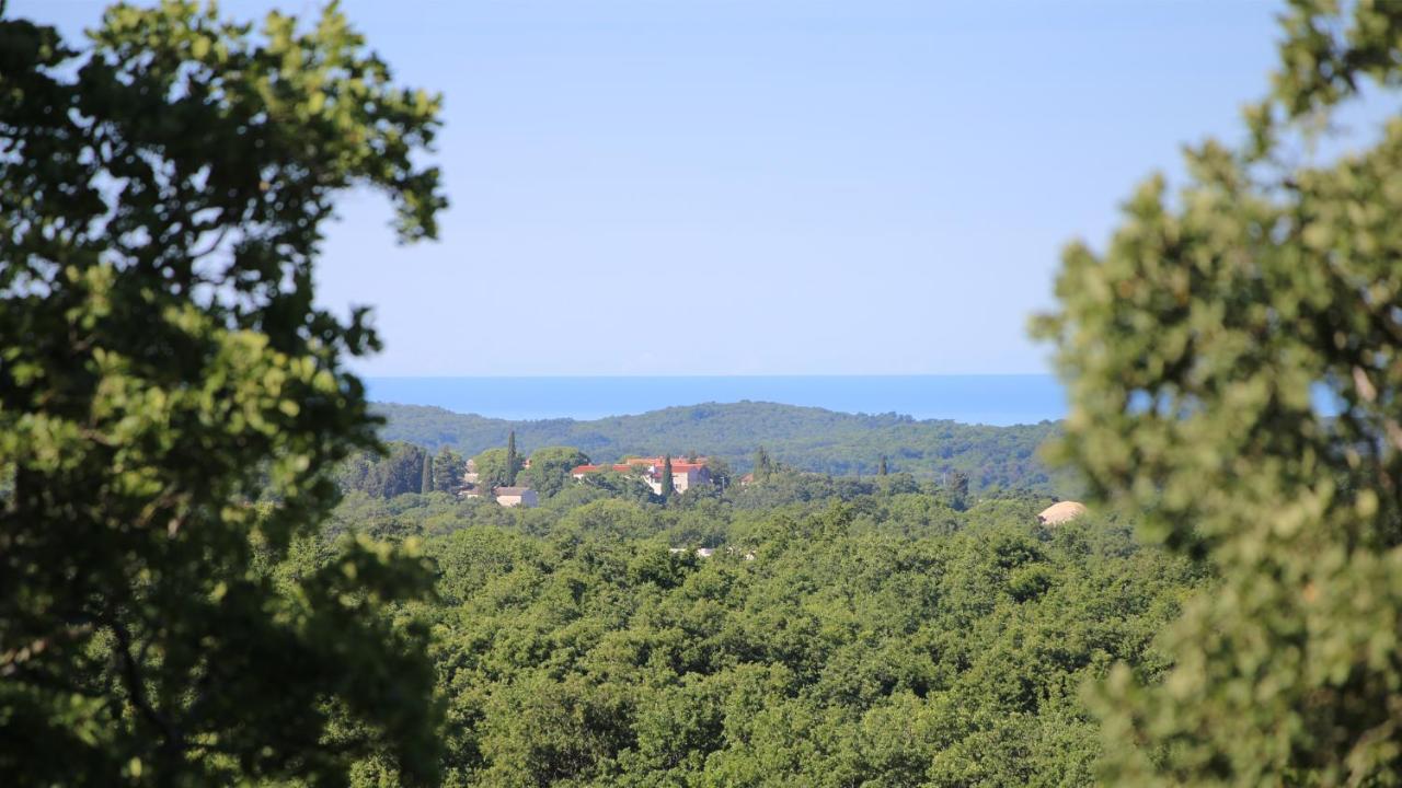 Villa Casa Conte Istria Kanfanar Exterior foto